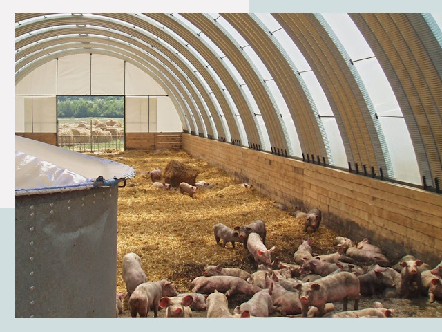 Строительство свинарников в Азове