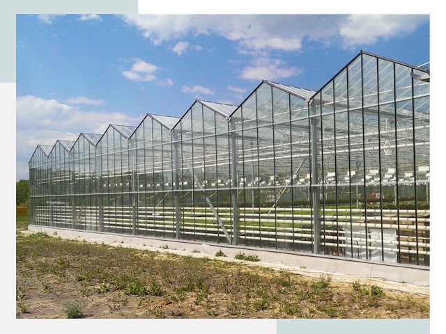 Строительство теплиц в Азов от 616 руб. за м²